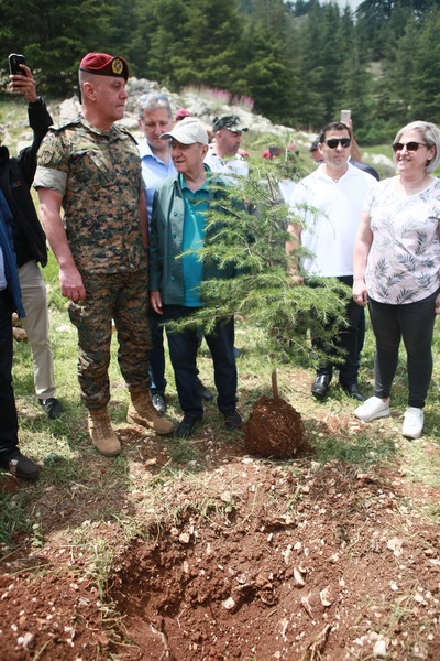 Cedar tree in memory of the Lebanese Commandos Regiment founder